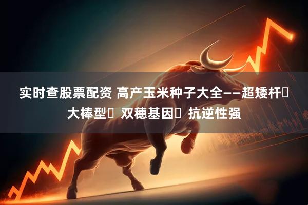 实时查股票配资 高产玉米种子大全——超矮杆・大棒型・双穗基因・抗逆性强