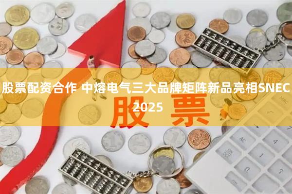 股票配资合作 中熔电气三大品牌矩阵新品亮相SNEC 2025