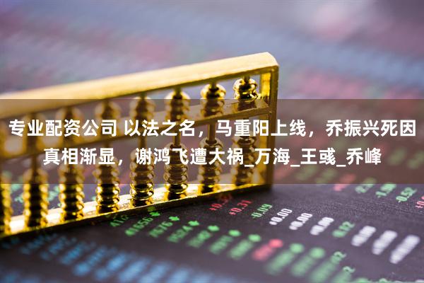专业配资公司 以法之名，马重阳上线，乔振兴死因真相渐显，谢鸿飞遭大祸_万海_王彧_乔峰