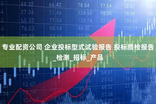 专业配资公司 企业投标型式试验报告 投标质检报告_检测_招标_产品