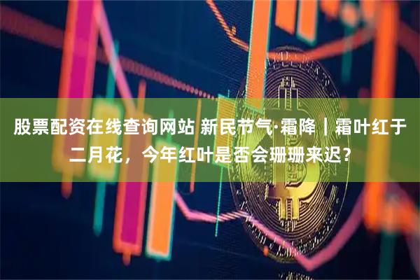 股票配资在线查询网站 新民节气·霜降|霜叶红于二月花,今年红叶是否会珊珊来迟?